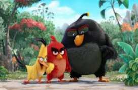 The Angry Birds Movie (English) movie download full hd torrent